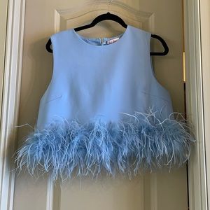 Blue Cropped Top with Feathers